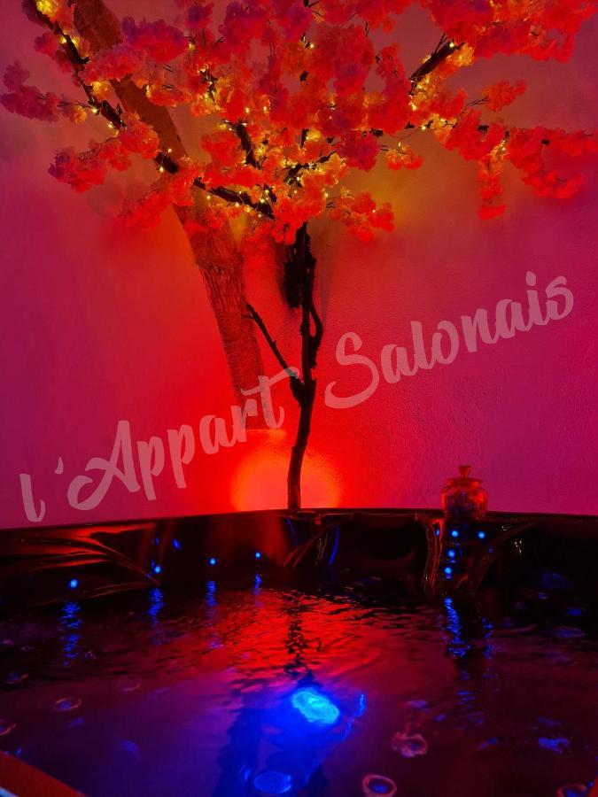 Lappart-Salonais 70M2 Avec Jacuzzi Privatif Buitenkant foto